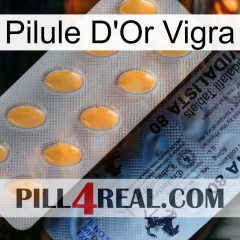 Vigra Gold Pill 44